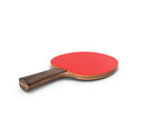 Table Tennis Paddle